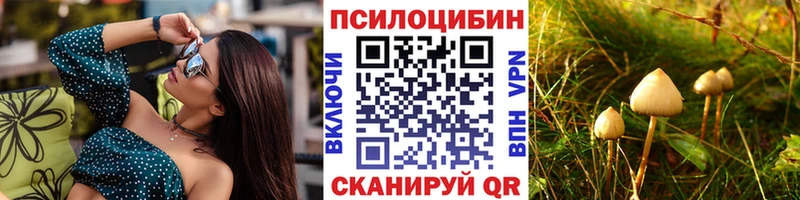 Галлюциногенные грибы Cubensis kraken ТОР Михайловск купить наркоту