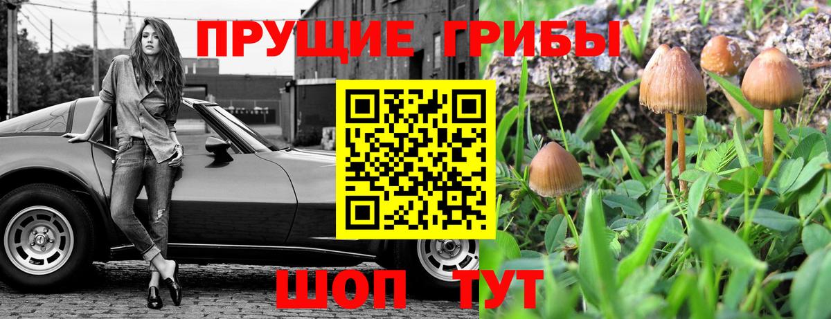 Галлюциногенные грибы ЛСД  Вход с VPN  Михайловск  Галлюциногенные грибы мухоморы 