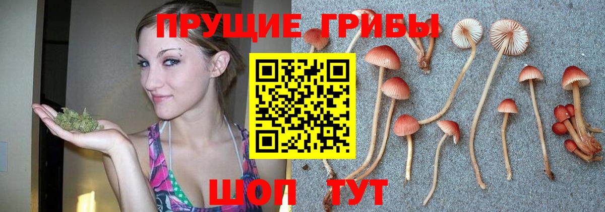 Галлюциногенные грибы GOLDEN TEACHER Михайловск